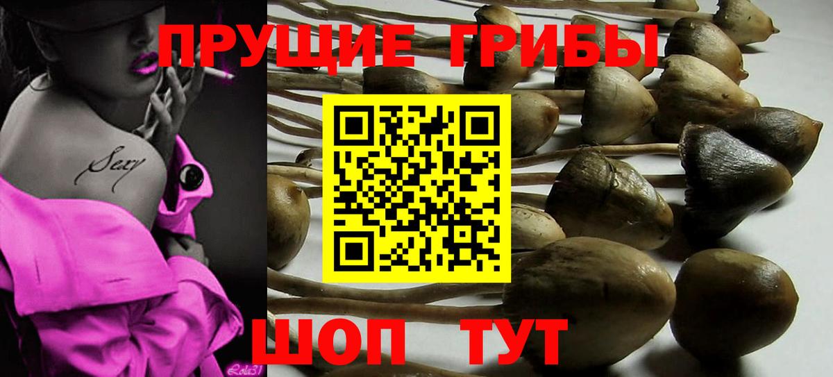 Псилоцибиновые грибы Magic Shrooms Нефтеюганск
